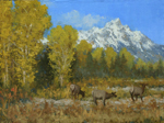 elk under tetons